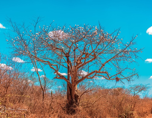 Gallery Of Photography By Norberto Kreutzer Fruhauf - Brazil