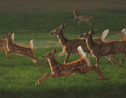 Gallery Of Painting By Greg Beecham - USA