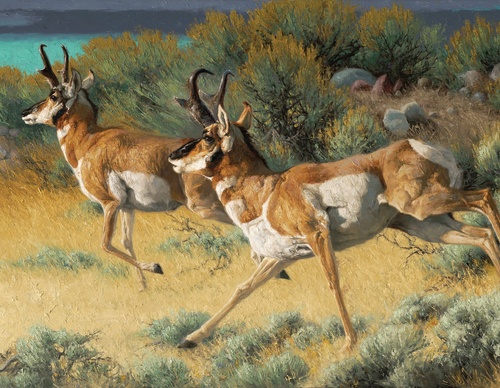 Gallery Of Painting By Greg Beecham - USA