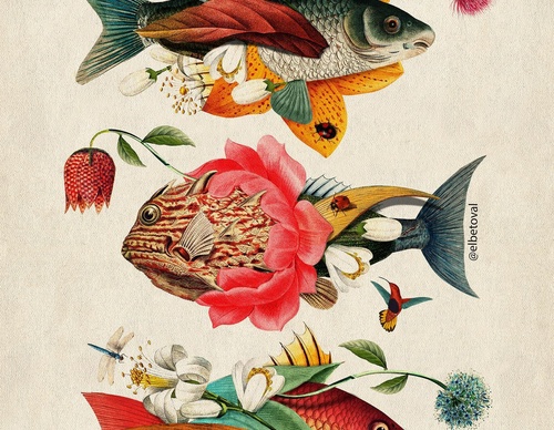 Gallery Of Illustration By Beto Val - Ecuador