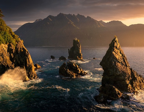 Galeria de fotografias de William Patino - Nova Zelândia