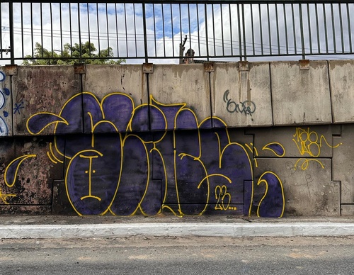 Gallery Of Street Art By Rafael Sliks - Brazil