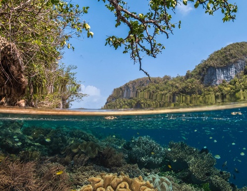 Gallery Of Photography By Alex Kydd - Australia