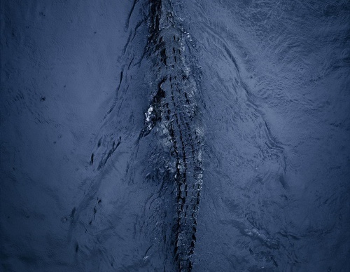 Gallery Of Photography By Chris Henry - USA