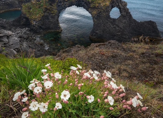 paolo gabriele maiero brazil