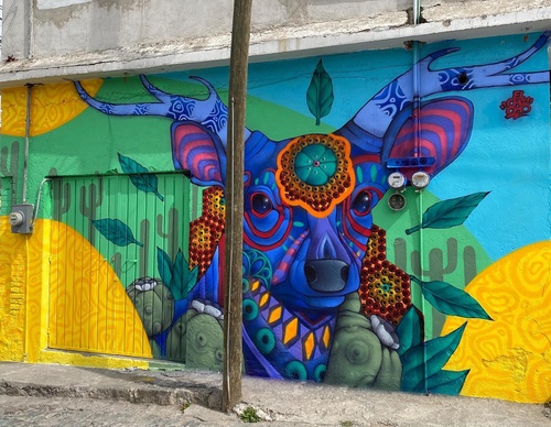 Gallery Of Street Art By Elchicho - Mexico