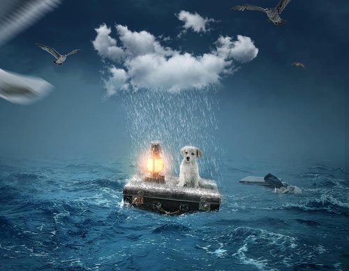 Galería de fotografías de Evgeny Gammer - Rusia