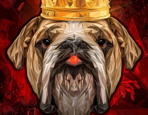 Galería de ilustraciones de Dedigngeo - Argentina