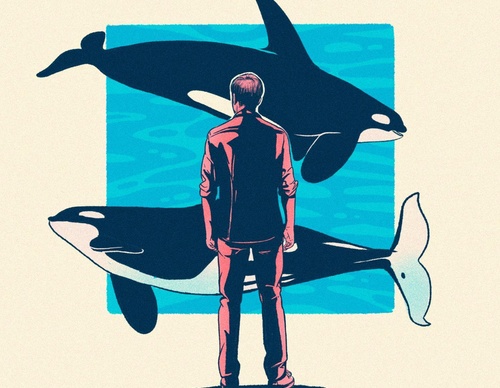 Galeria de ilustrações de Pequeño Capitan - México