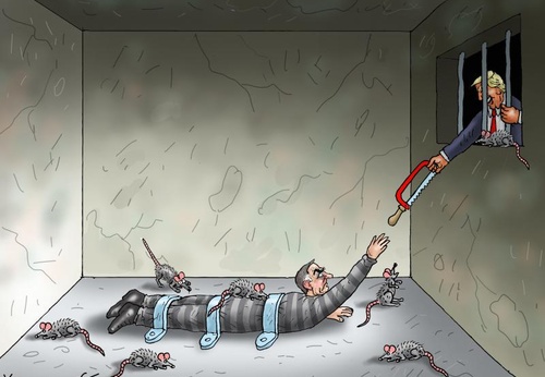 THE DIFFERENCE BETWEEN US AND BRAZILIAN DEMOCRACY