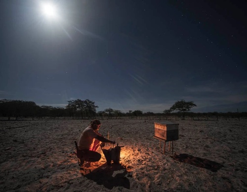 Gallery of photography by Gustavo Bettini-Brazil