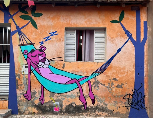 Gallery Of Street Art By Rafael Sliks - Brazil