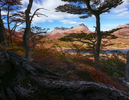 Gallery Of Photography By Rodrigo Viveros - Chile