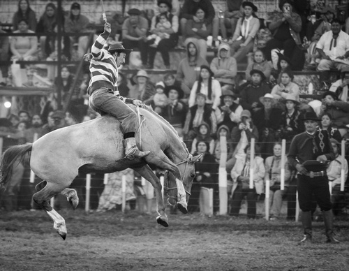 Galería de fotografía de Patricio Rodríguez - Argentina
