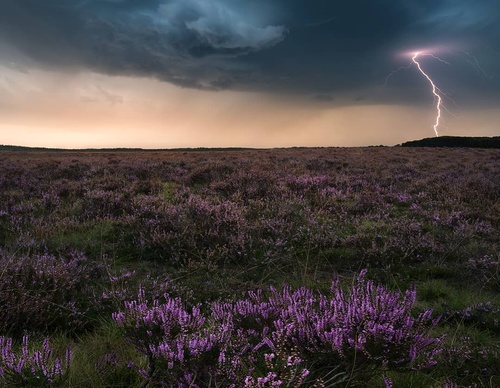 Galería de fotografía de Gijs de Reijke - Holanda