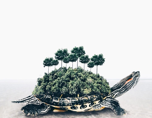 Galería De Ilustración De Luisa Azevedo - Portugal