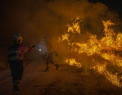 world press photo