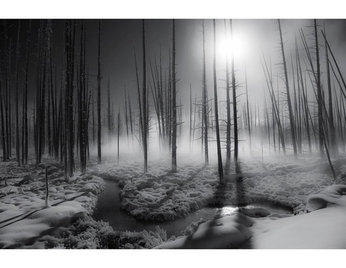 Galeria de Fotografia de Isaac Spotts - EUA