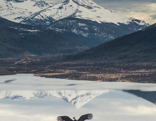 Gallery Of Photography By Timothy Dhalleine - Chile