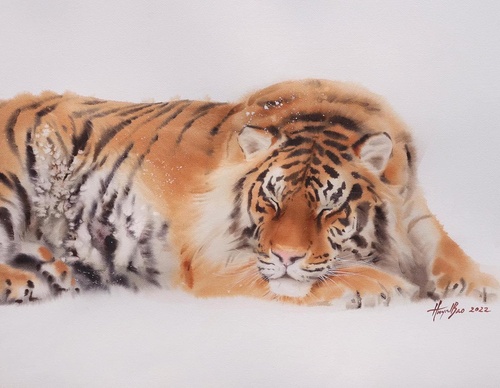 Gallery WaterColor Painting By Bảo Huỳnh - Vietnam