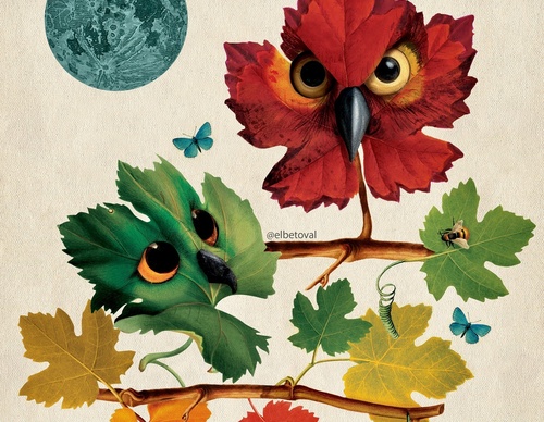 Gallery Of Illustration By Beto Val - Ecuador