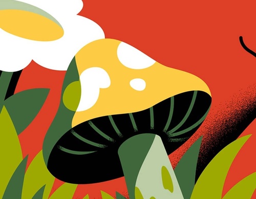Gallery Of Illustration By Cat Finnie - England
