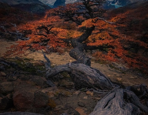 Galería de fotografía de Ty Lekki - Argentina