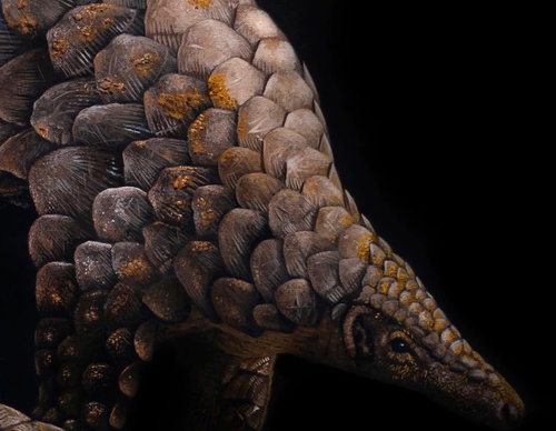 Gallery Of Realistic Painting By Sophie Green - United Kingdom