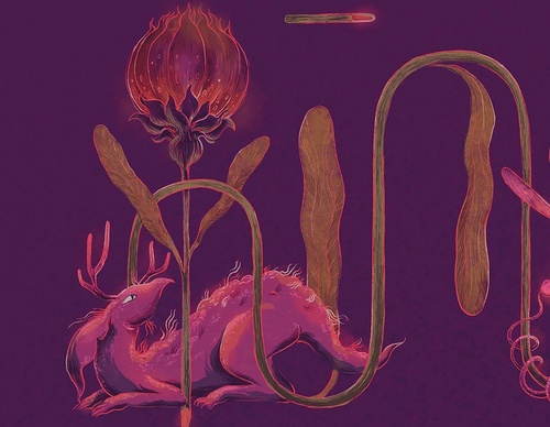Galería de ilustraciones de Julián Solano - Colombia