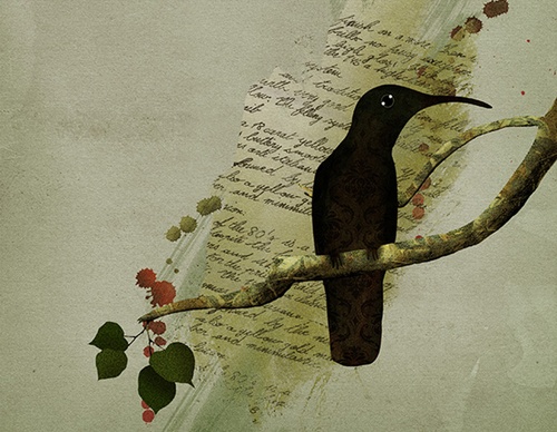 Gallery Of Illustration By Antonio Rodrigues - Brazil