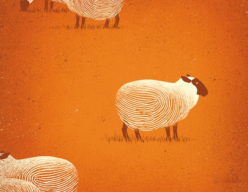 best illustrators