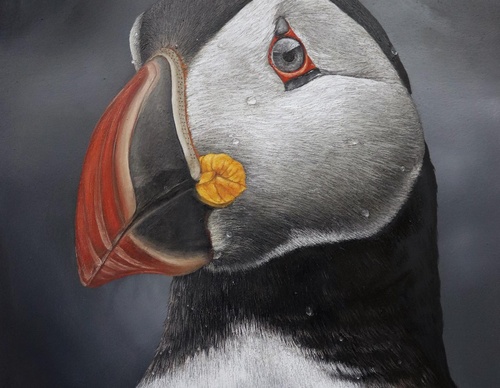 Galería de pintura realista de Annie Drew - Reino Unido