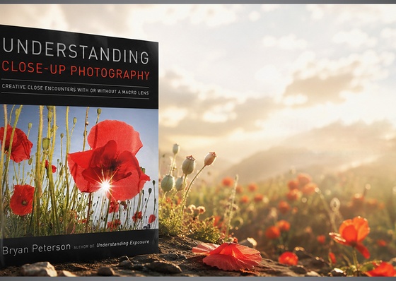 UNDERSTANDING CLOSE-UP PHOTOGRAPHY