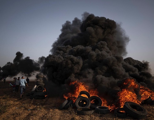 Galeria De Fotografia De Fatima Shbair - Palestina
