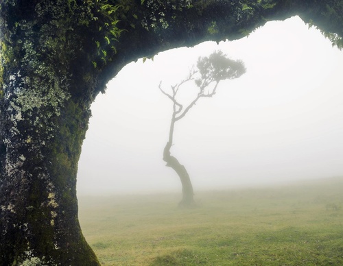 Galería de fotografía de Jorge Reinaldo - Portugal