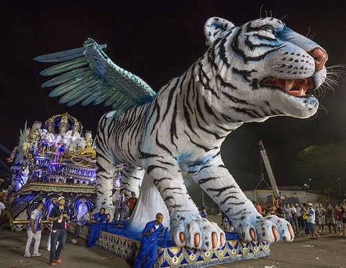 brazil jim zuckerman