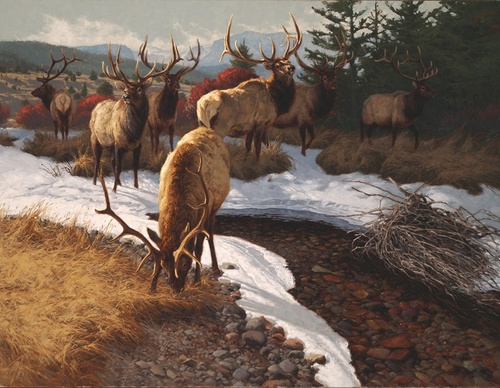 Gallery Of Painting By Greg Beecham - USA