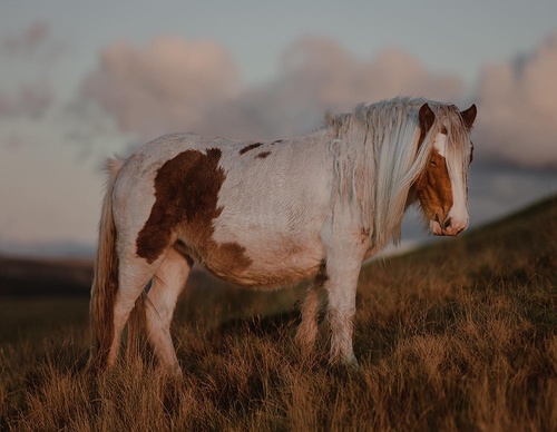 Galeria de Fotografia de Gareth Llewellyn - País de Gales