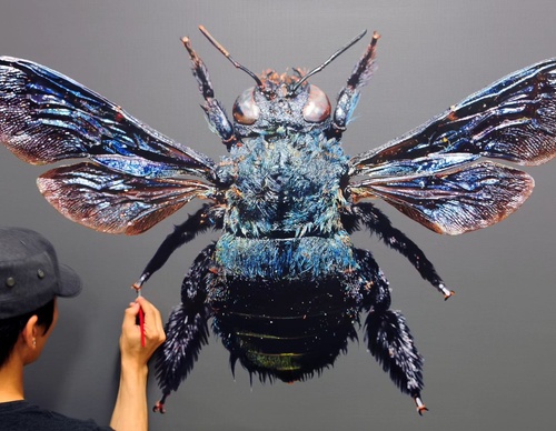 Gallery Of Realistic Painting By Young-sung Kim - South Korea