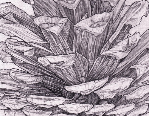 Gallery Of Illustration By Tavo Montanez - Mexico