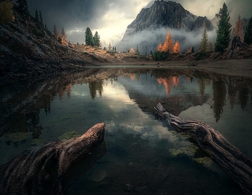 Gallery Of Photography By Max Rive - Netherlands