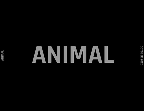 blank poster animal