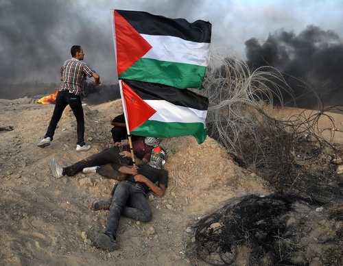 Galería de fotografías de Mohammed Zaanoun - Palestina