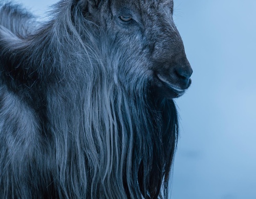 Gallery Of Photography By Chris Henry - USA