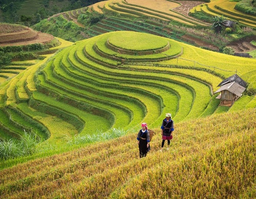 Gallery Of Photography By Zay Yar Lin - Myanmar