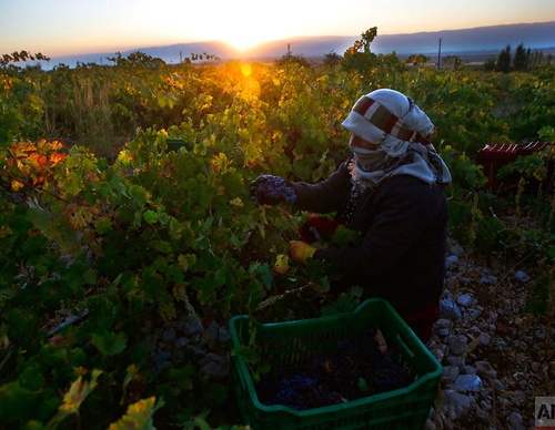 ap images middle east