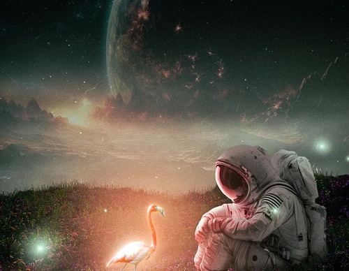 Galería De Ilustración De Gastón - Argentina