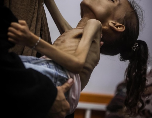 ali jadallah gaza