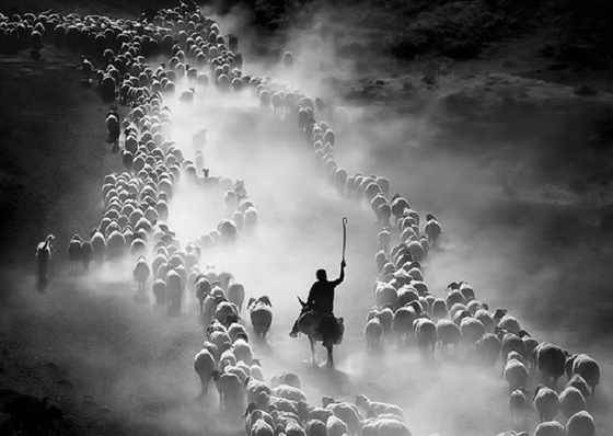 Fotografia Artística como Ferramenta de Documentação Social