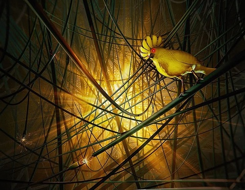 Gallery Of Illustration by Jeroen Murré - Netherlands